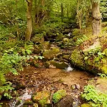 Rural Fuentes De Lucia Pensionat Fresnedo (Asturias)